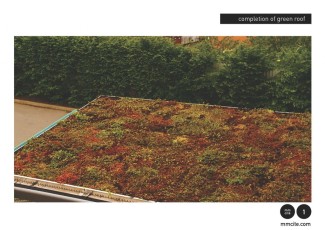 Arredo urbano. Pensilina Aureo GREEN. tetto vegetale 09